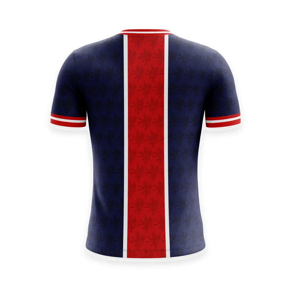 Maglia gara home 26/27 Imolese Calcio, blu con fascia centrale rossa, retro, foto 2 di 3